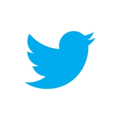 Twitter brand guidelines – does your site comply? Twitter brand guidelines – does your site comply?